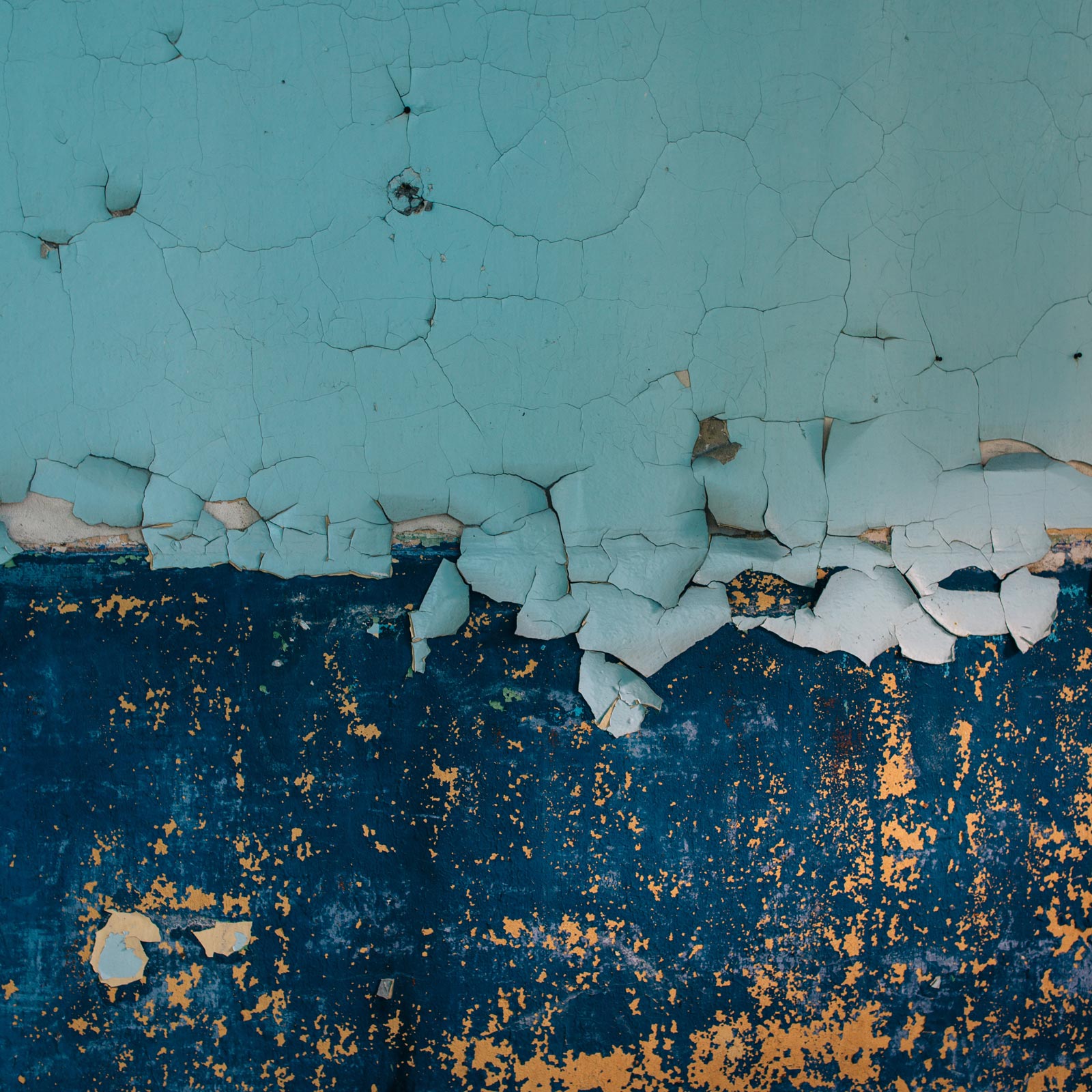 Die Ewigkeits-Lebensversicherung