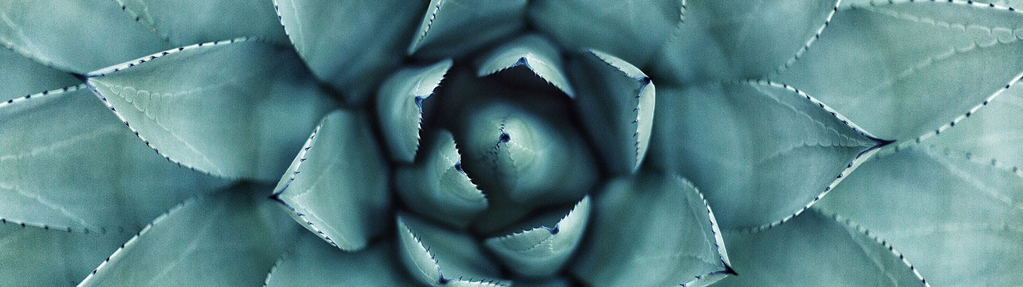 Authentizität ein ganz besonderes Merkmal