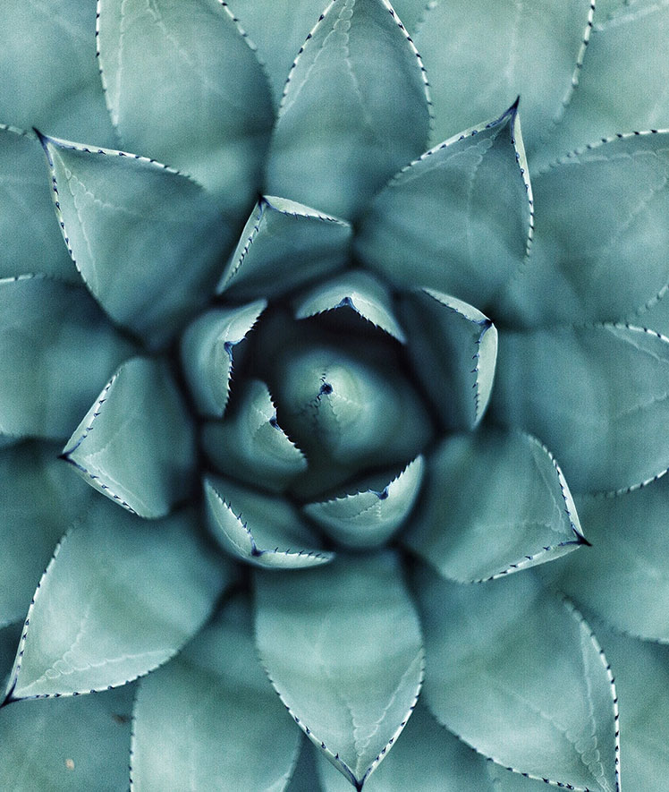 Authentizität ein ganz besonderes Merkmal